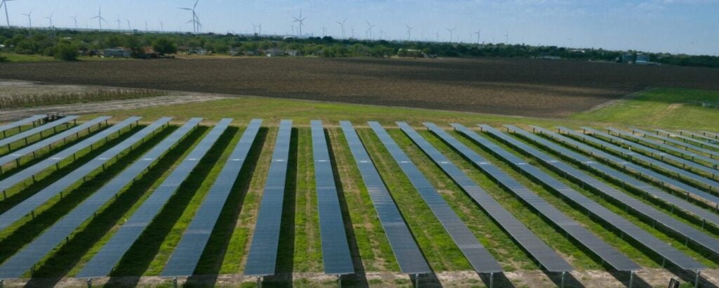 Lightsource bp's Peacock solar project.